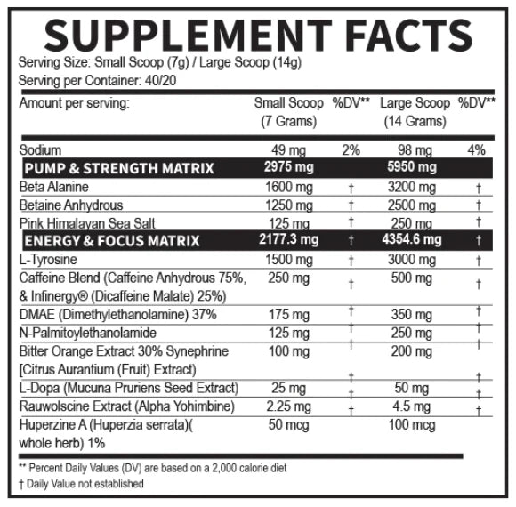 PRE-ENTRENO VENON INFIERNO 40/20 SERV