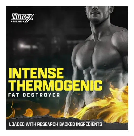 LIPO6 INTENSE 60 CAPS